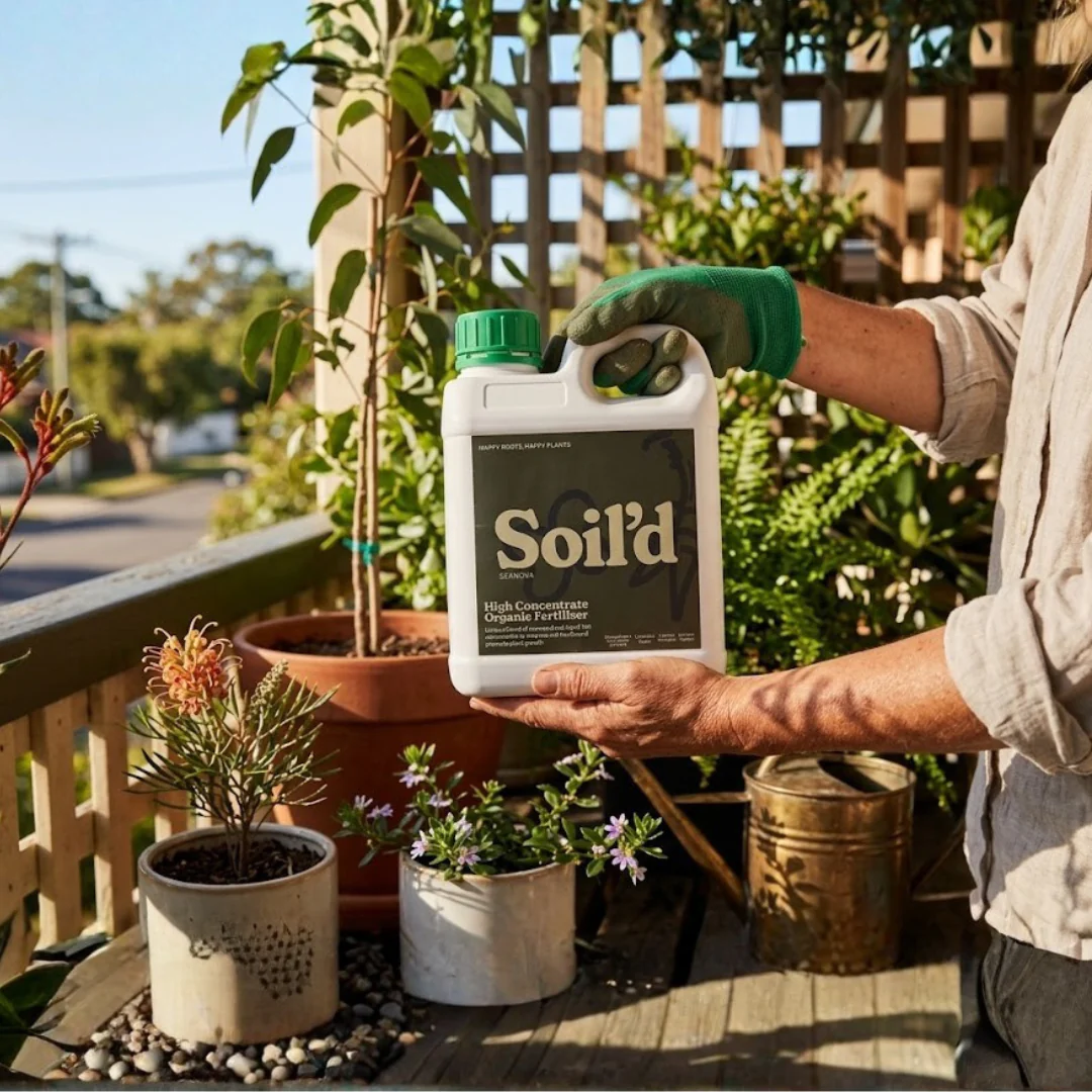 Soil'd product