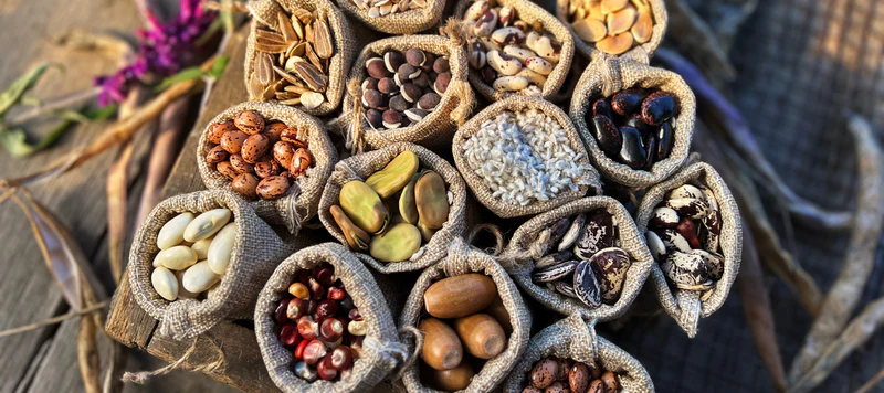 Eden Seeds product